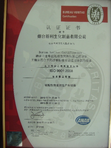2010年11月质量体系认证ISO9001（中文）
